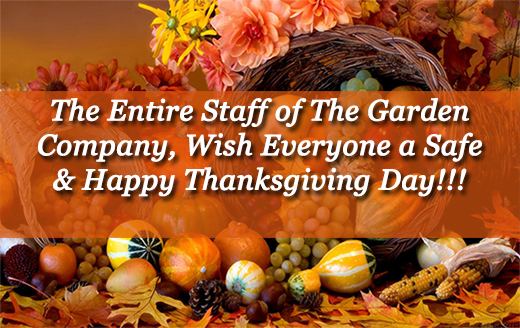 Happy Thanksgiving Day