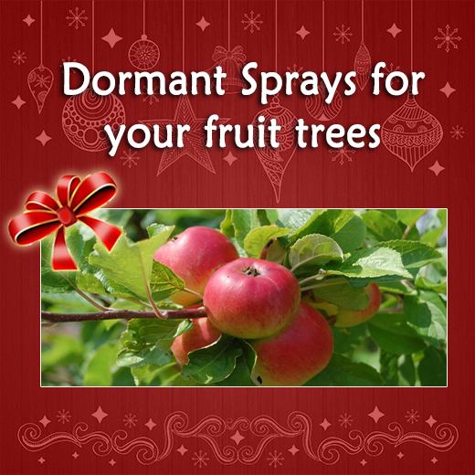 dormantsprays