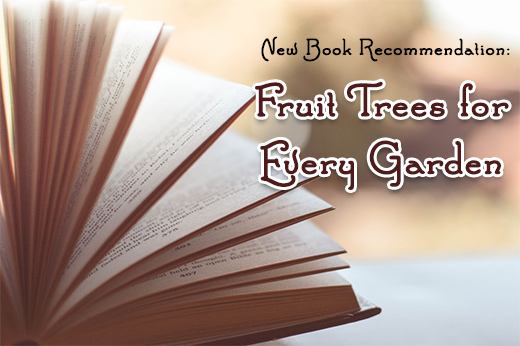 new book recommendations